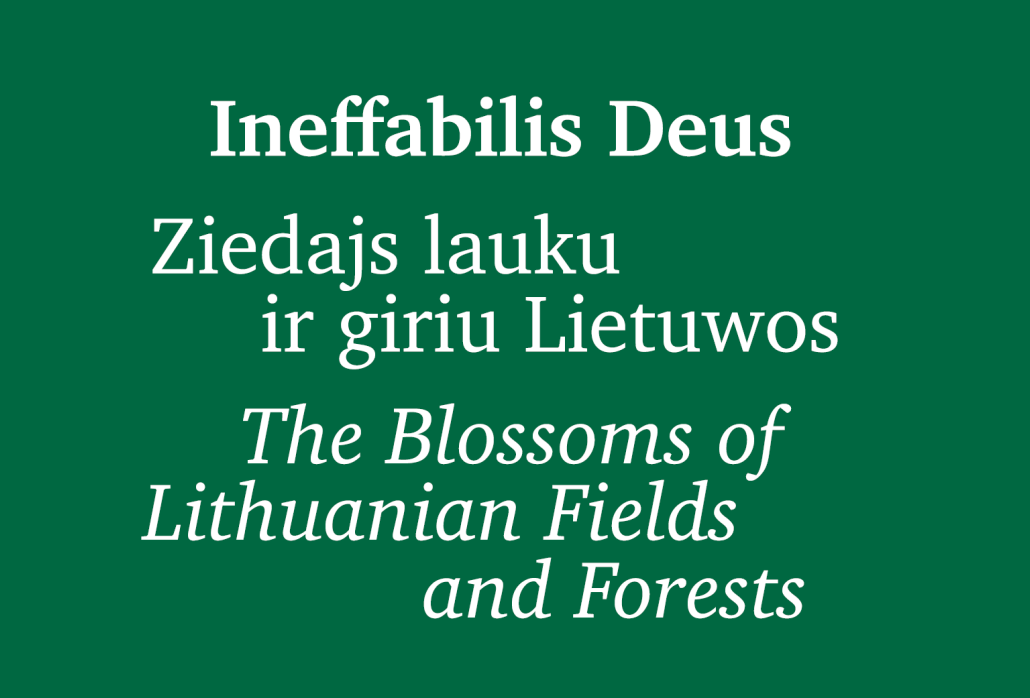 Ineffabilis Deus. Ziedajs lauku ir giriu Lietuwos