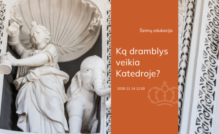 Šeimų edukacija „Ką dramblys veikia Katedroje?“